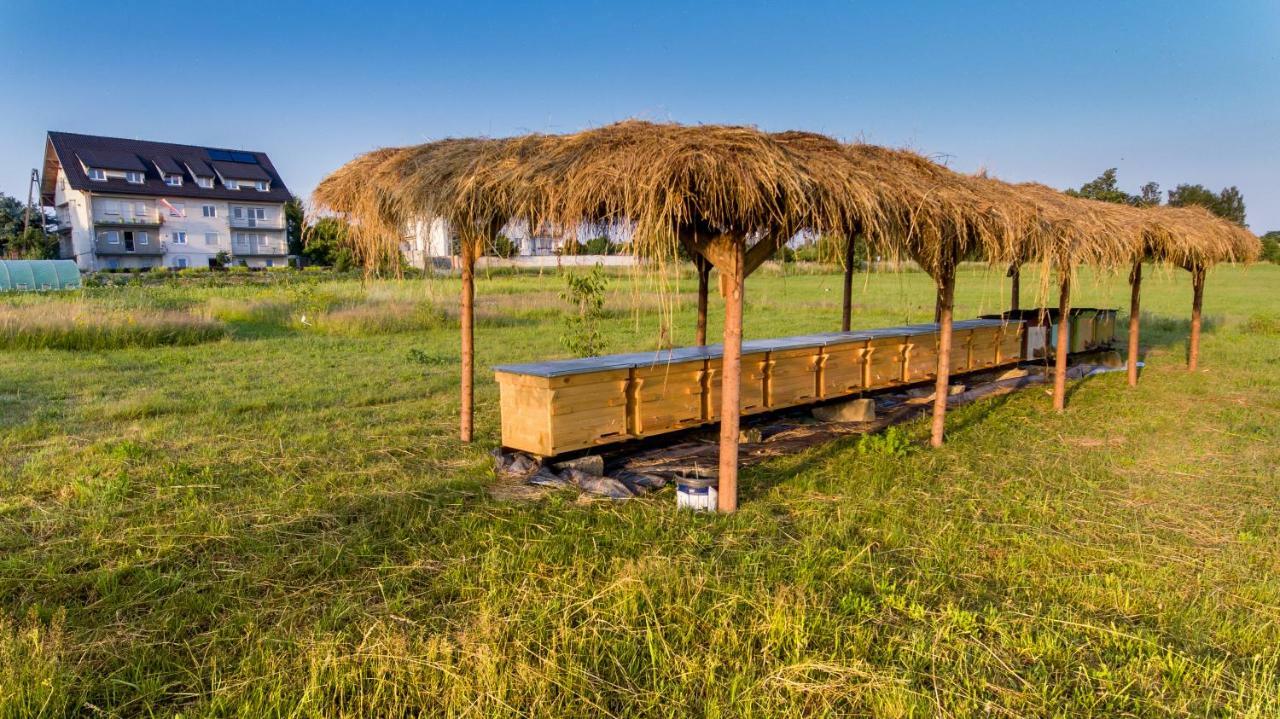 Agroturystyka Sikorki Lubomierz  Zewnętrze zdjęcie